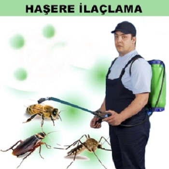 Bafra Böcek İlaçlama